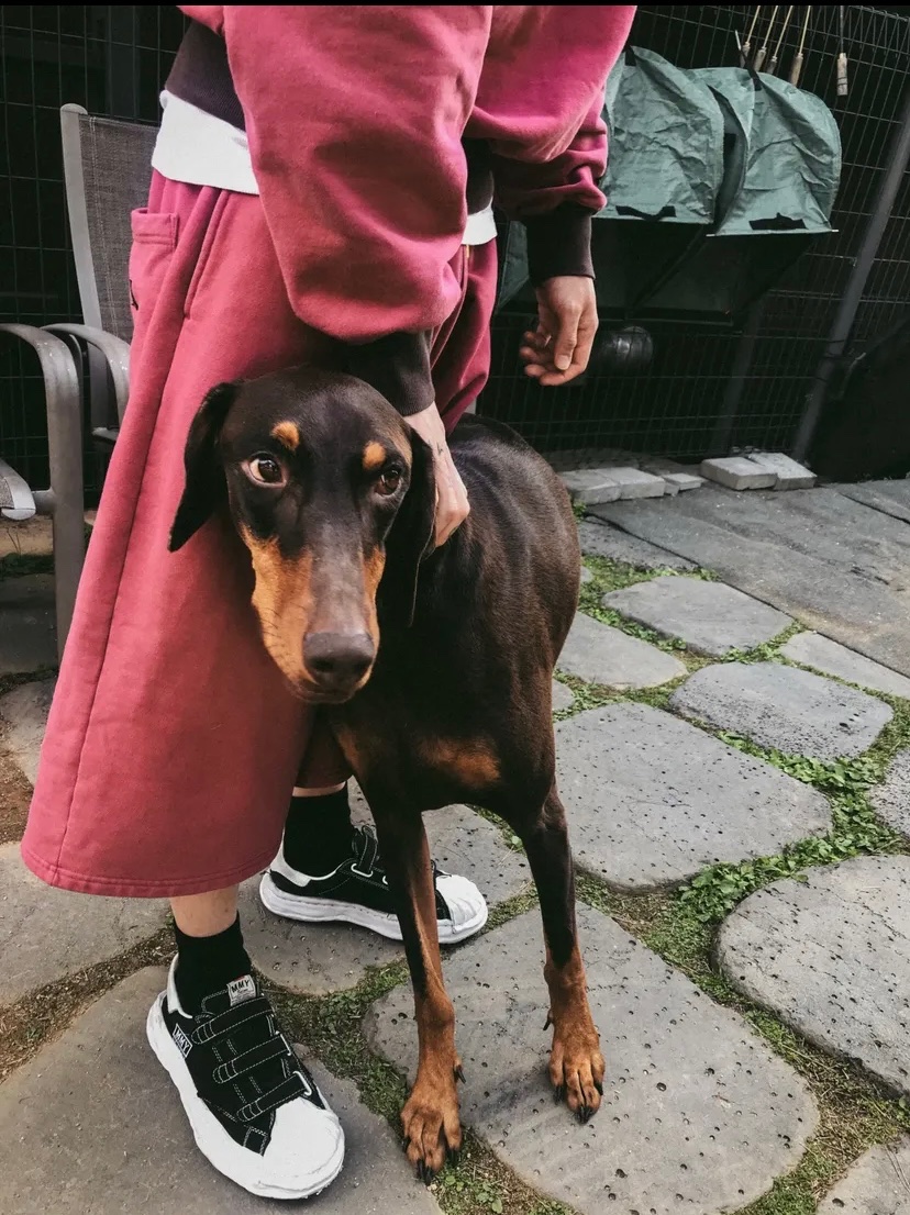 ku6osuguri's tweet photo. BAM🐾パパに甘えて良かったね🥰
ワルツ🌎の合間にBAM🐾に会いに😭
胸筋、上腕二頭筋以外ウエストと
膝下は細いジョングクが可愛い(*´`)
って見てたらBAM🐾もパパと同じで
愛おしい🥹 https://t.co/lkCiFDBuVx
