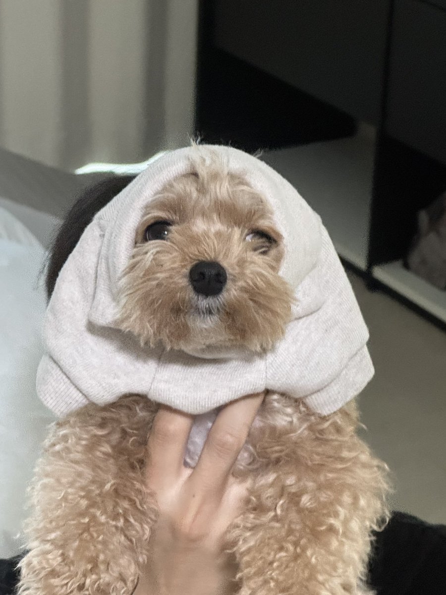 GaruNews_'s tweet photo. 가루나시 
カオナシならぬ、ガルナシ https://t.co/3Wr0xpKGNg