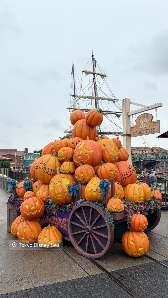 mcmcbb__'s tweet photo. #Dハロ2026 🎃💕💕 https://t.co/GiF1yQ8sNL
