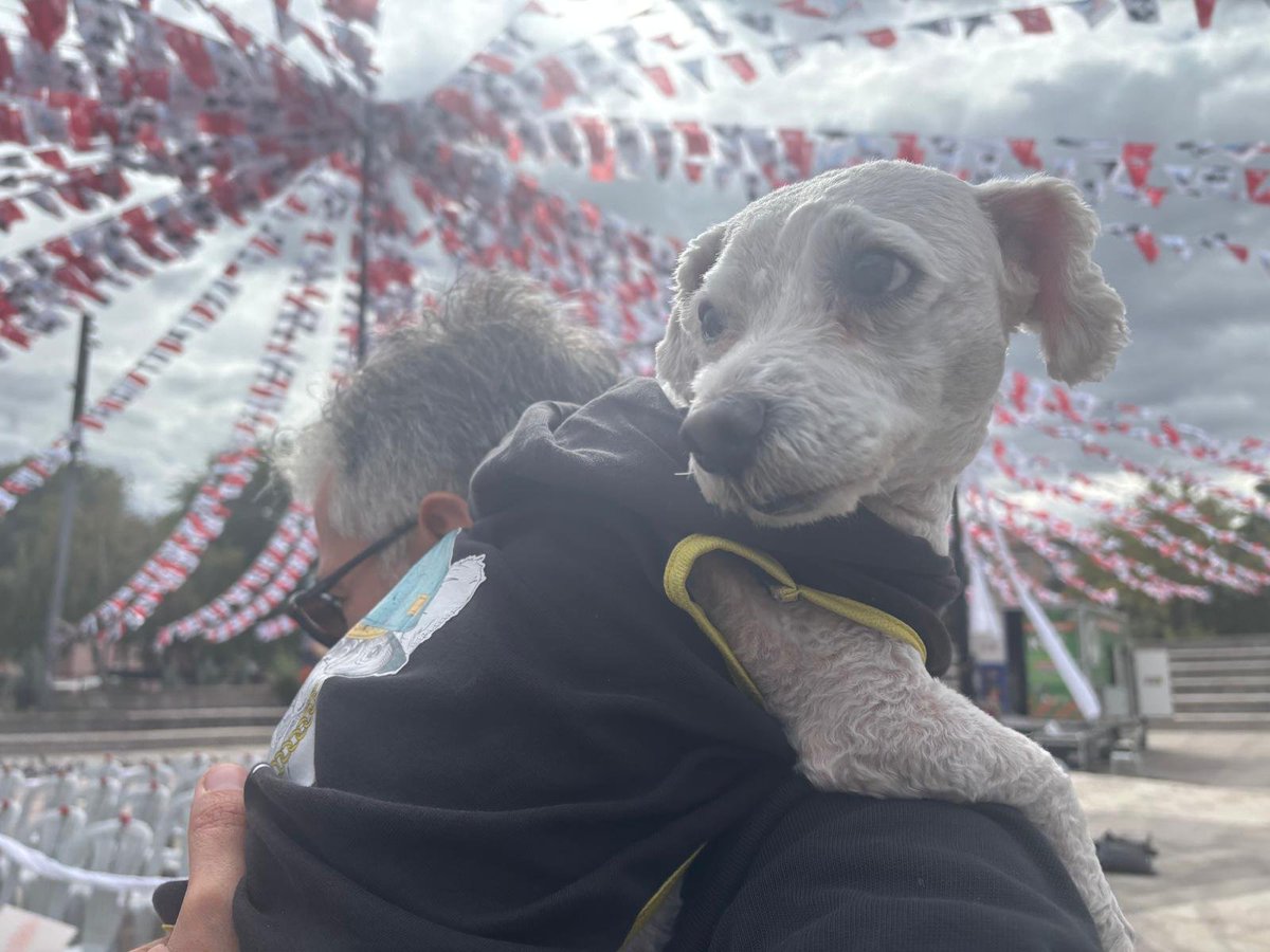 mrvesismn's tweet photo. Ve Oktay Akişli...

Kartalkaya faciasında ailesinden geriye yalnızca 3 köpeği kalan Oktay Akişli Anıtpark'ta NEFES’e konuştu.

Ailesinden geriye sadece 3 köpeği kaldı: Miço, Tarçın ve Yumak.

“Ben de ailem için adalet istiyorum” diyerek Kartalkaya davasında adalet çağrısı yaptı.

186 kilometrelik bir yol da yürümüştü.

Köpekleri için “Onlar benim ailemden kalan en önemli hatıralarım” diyor ve şunu ekliyor; "Ben ölseydim ailem Ankara'dan bir dakika bile ayrılmazdı"

👇👇👇