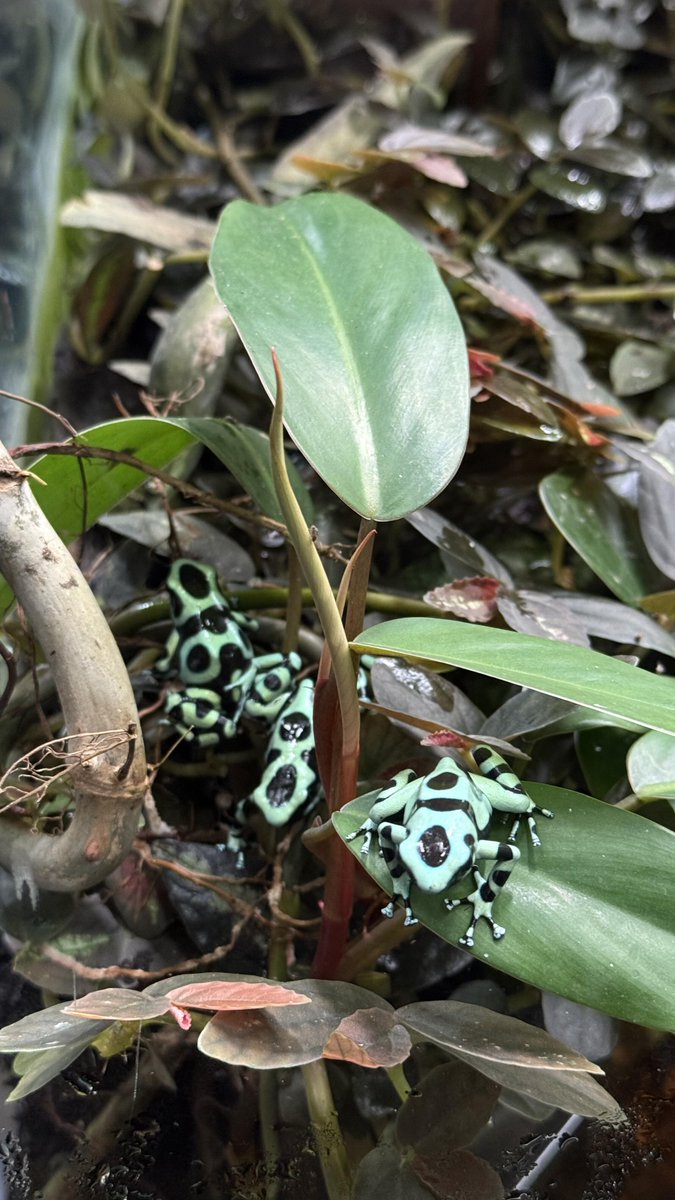 GardenyBeth's tweet photo. Life stems from art, and art stems from life https://t.co/DBaDD0gstH