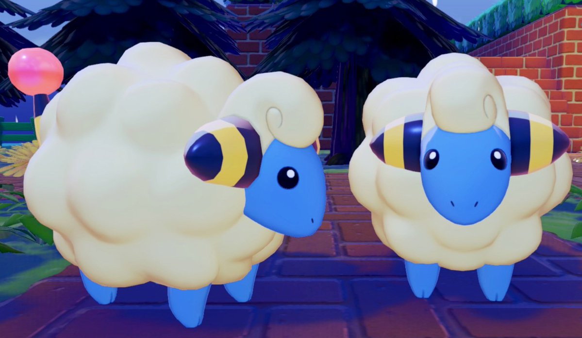 sheepangel_'s tweet photo. もっふもふ🐑 https://t.co/c8fPxI7AcI