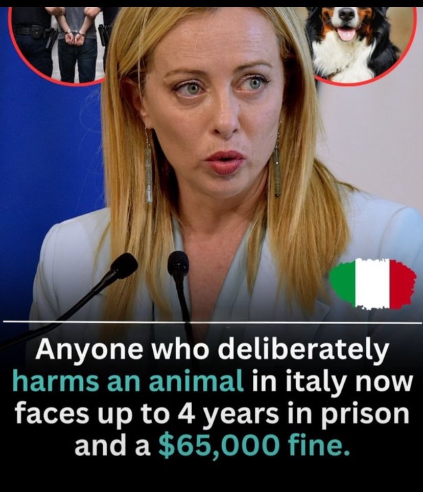 KateShemirani tweet picture