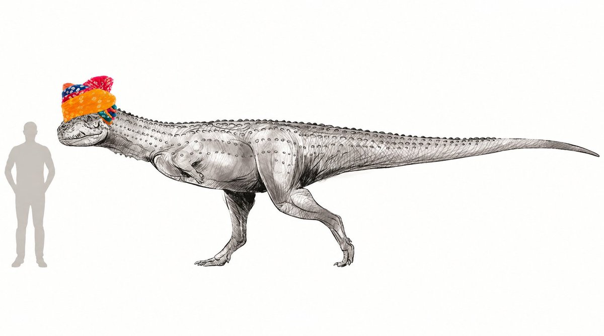 Mythpreneur's tweet photo. Panjab University geologist Ashu Khosla said Lord Brahma knew of dinosaurs and mentioned them in the Vedas. India was a hotspot for dinosaur evolution, and Rajasaurus originated here. If we investigate, believe me, Rajasaurus too will turn out to be an ancestor of the Rajputs. https://t.co/tkumzMvolk