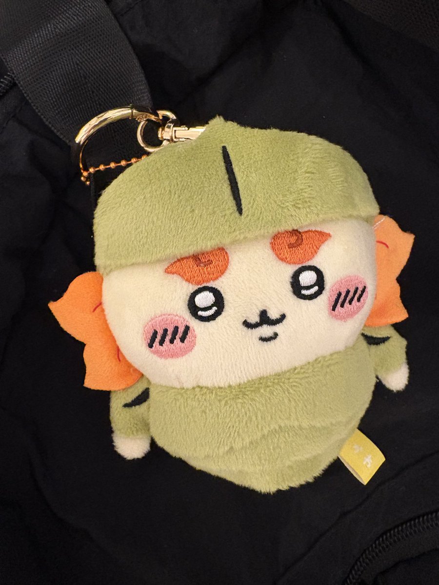 sacha_mu's tweet photo. お師匠ッッ‼️人形ゲット https://t.co/zjHSuV9hQ2