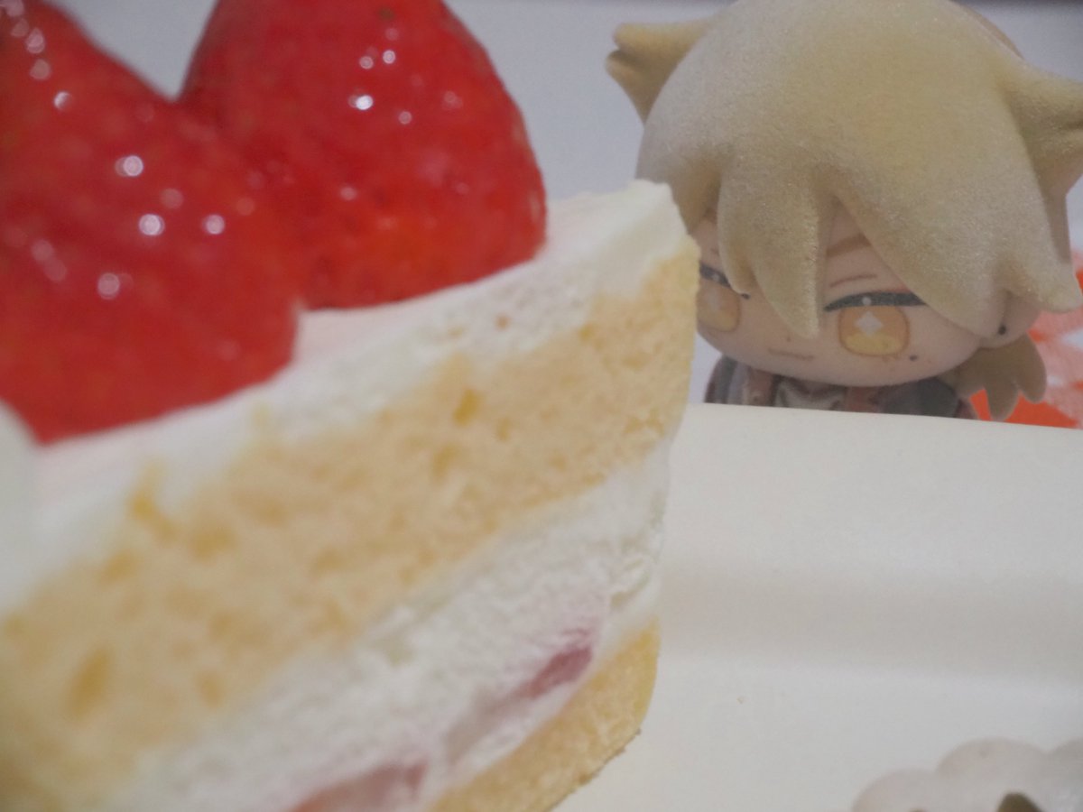 kmkpn's tweet photo. ショートケーキだよ、ふろがくさん https://t.co/wYdjrveDL5