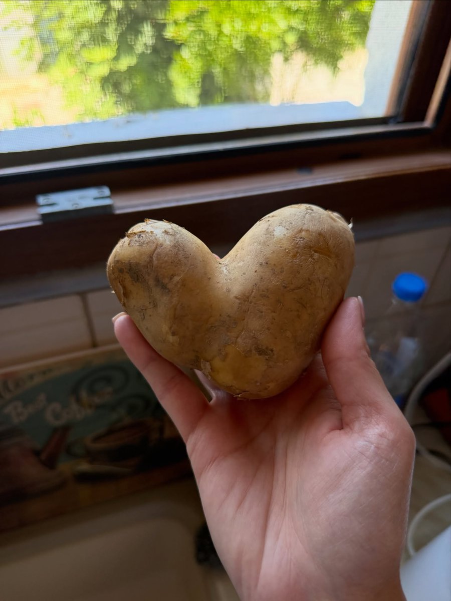 Smart2898's tweet photo. Even the potatoes are full of love today 🥔💛 https://t.co/b5h9hUDzyp