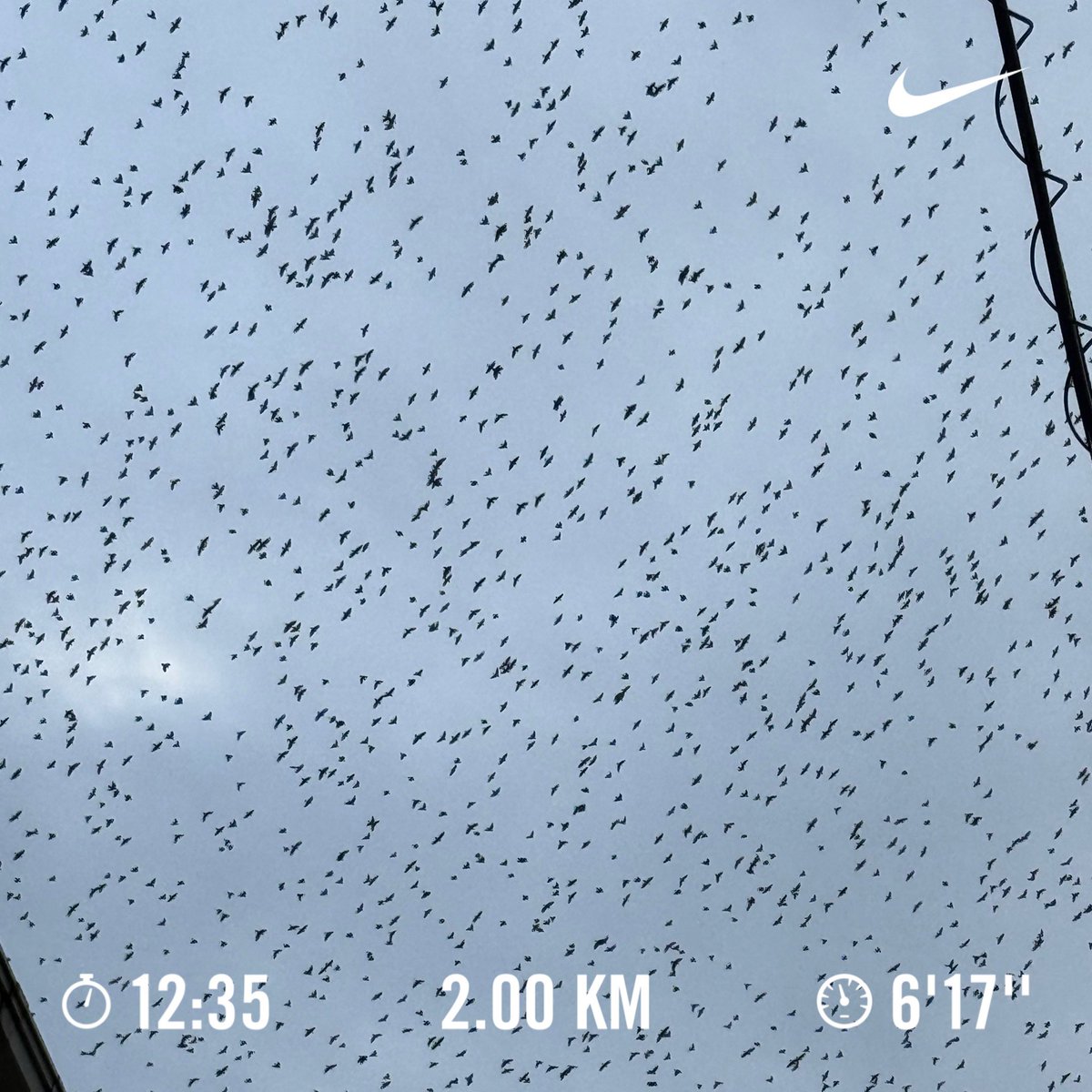 runrunrunning21's tweet photo. ランニング🏃　#857走目 https://t.co/EFIZh3zTRH
