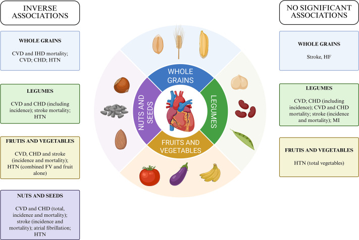 jnutritionorg's tweet photo. #JNutr review finds higher intakes of #WholeGrains, #legumes, #fruits/#vegetables & #nuts/#seeds generally assoc'd with lower risks of #CardiovascularDisease-BUT: "magnitude & consistency of assns varied across food groups & outcomes." #Vegan #Vegetarian https://t.co/l4UhUca8pL https://t.co/9k2TML4OdN