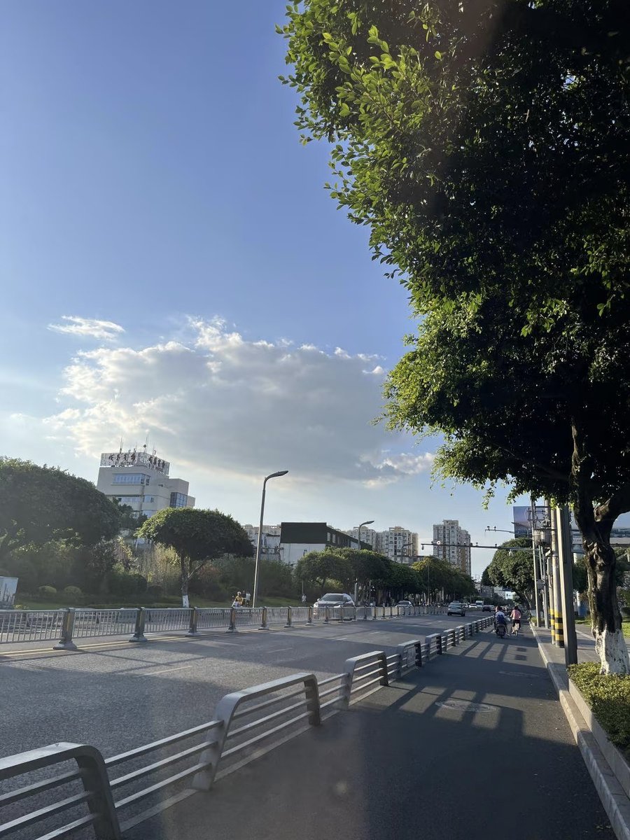 AylaManselyo's tweet photo. [La calle continuaba, y yo seguía pensando, pero nunca me desvié de mi camino.]， https://t.co/qQyVBytVSi