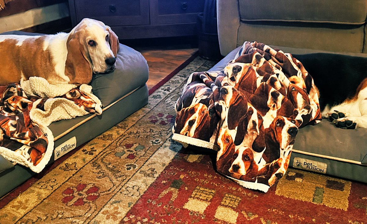 MocklerPack's tweet photo. Ernest, where’s Charlene? https://t.co/RPC79ecE1q