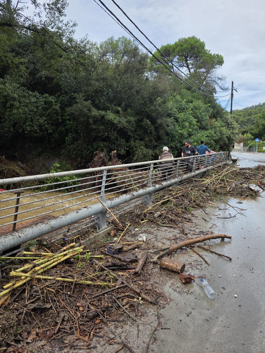 rosacarme07's tweet photo. ⚠️ Estat de la riera a Les Planes de Sant Cugat després del temporal. Els veïns ens hem hagut d’organitzar de forma autònoma per retirar la gran quantitat de brossa, canyes i arbres caiguts que bloquejaven la zona i posaven en risc els accessos. https://t.co/nmfBb5HgEu
