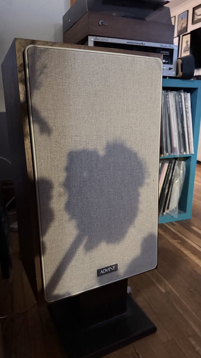gardenniagara's tweet photo. The centrepiece flowers casting a floral shadow on my speaker. https://t.co/El9QlpXjro