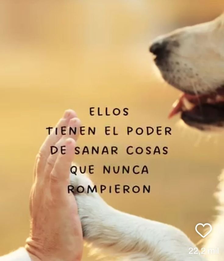 rey_latino33087's tweet photo. https://t.co/UGN8mwCAVd