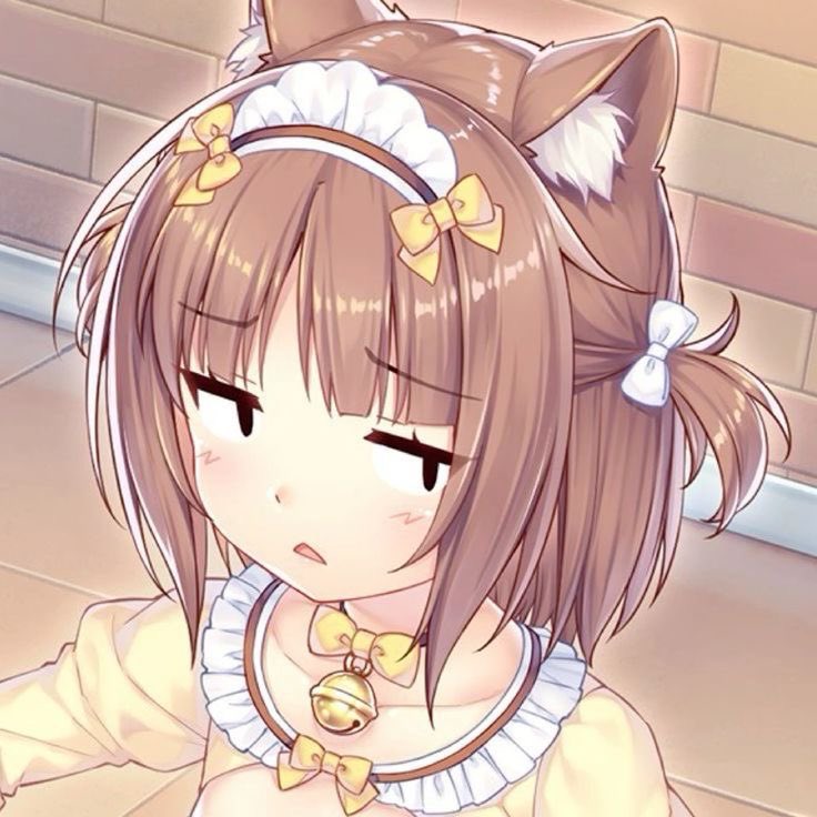 kittiefrill's tweet photo. “i like nekopara i just wish it didn’t have fan service” BOOOOOORING, laaaaarp !!! 🐈💢🧁💭 https://t.co/BrPXPynrBw