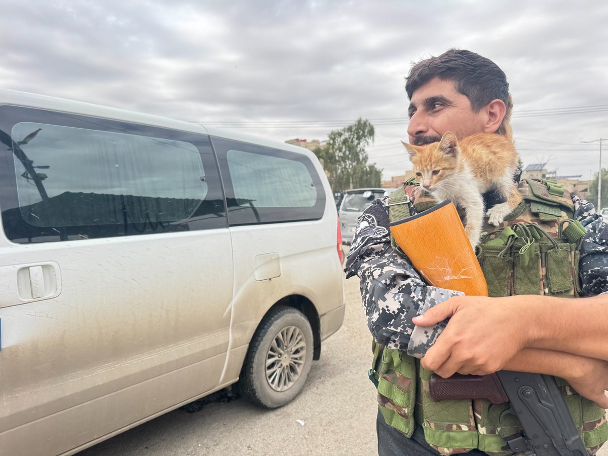 Channel8Turkce's tweet photo. Haseke'de bir güvenlik görevlisi, kedisini kucağına alarak kentin güvenliğini sağlıyor. 

📸Evin Şeyhmus / Kanal8 https://t.co/GwWEPmJUv7