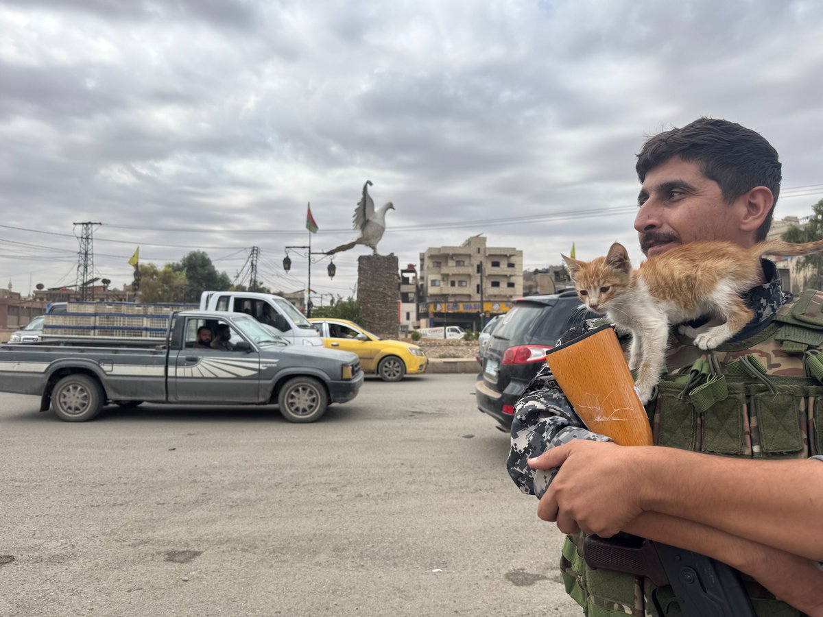 Channel8Turkce's tweet photo. Haseke'de bir güvenlik görevlisi, kedisini kucağına alarak kentin güvenliğini sağlıyor. 

📸Evin Şeyhmus / Kanal8 https://t.co/GwWEPmJUv7