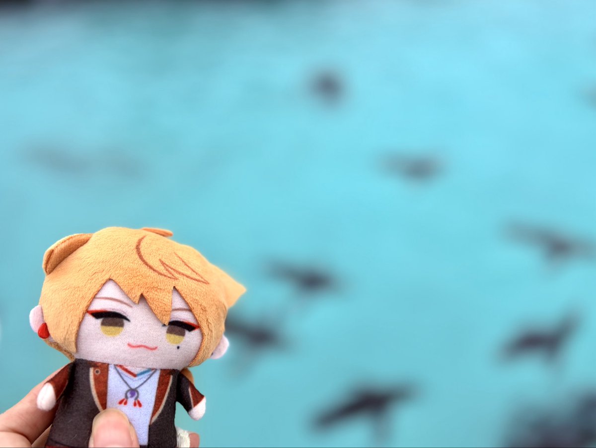 5edna_T0Y's tweet photo. これは背景がぼやけすぎたヘタクソ写真 https://t.co/GKzTzTlevw