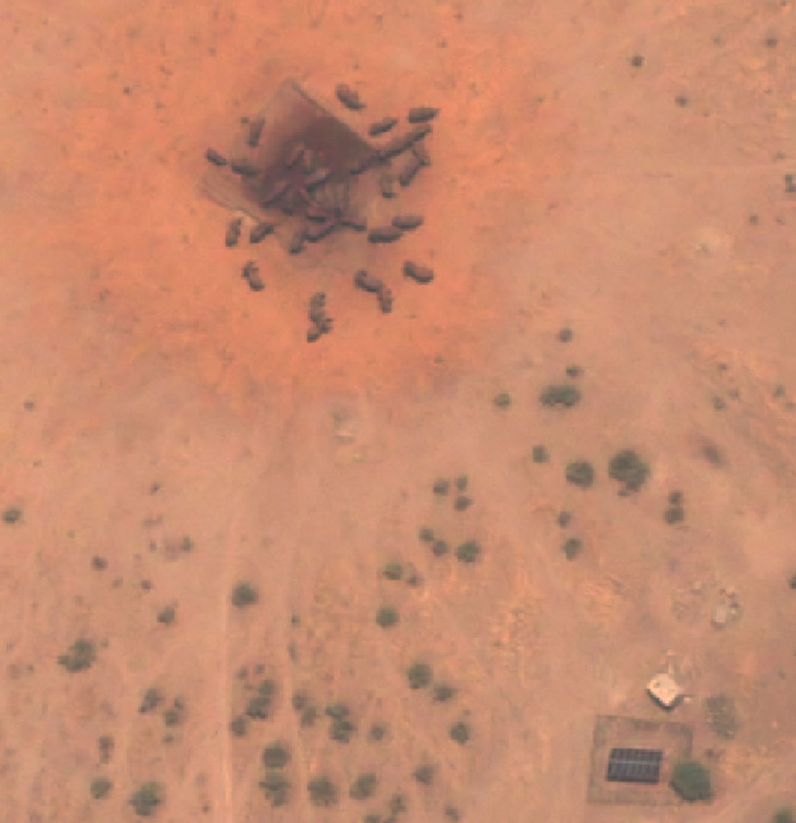 AER_ESE_BES's tweet photo. 💡 Can we count elephants from space? 

🐘 Wilks et al. share their experience investigating the potential use of satellite surveys to identify elephants in the heterogeneous terrain of Botswana, Africa. 

👇 Read here!
https://t.co/NPHbQJkUAa https://t.co/OJJVv3Wgt9