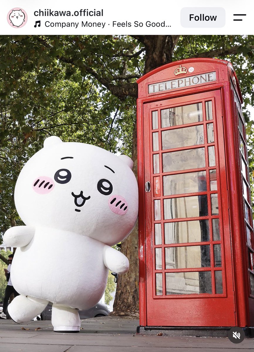 isekiayako's tweet photo. 「イギリスにちいかわ上陸」「ロンドンの百貨店セルフリッジズにちいかわコーナー登場」と聞いて、幼い姪っ子のためにエクスクルーシヴ・アイテムとやらを買いに行ったら長蛇の列。めげそうになりつつも、せっかく来たしと並んでいたら、アバヤを着た中東系の女性が私の横を「オー、チカワ！チカワ！」と言って通り過ぎていった。私の真後ろにいたアフリカ人の女性も友人と思われる同行者に「ハチワーレ」と言ってるのが聞こえてきて非常にアツかった。（本当にハチワーレって発音してたんです）　

こんな地球の裏側まで、ちいかわすごいな。

1枚目の写真は戦利品です。うさぎ🐇好きの娘（11）にもちいかわうさぎを買いました。Usagiのプロフィール文が面白いから、ちいかわをよく知らない娘にはこのタグを付けたまま渡そうと思います。

#ロンドン #ちいかわ #chiikawa

https://t.co/KLqHHnt4Kd