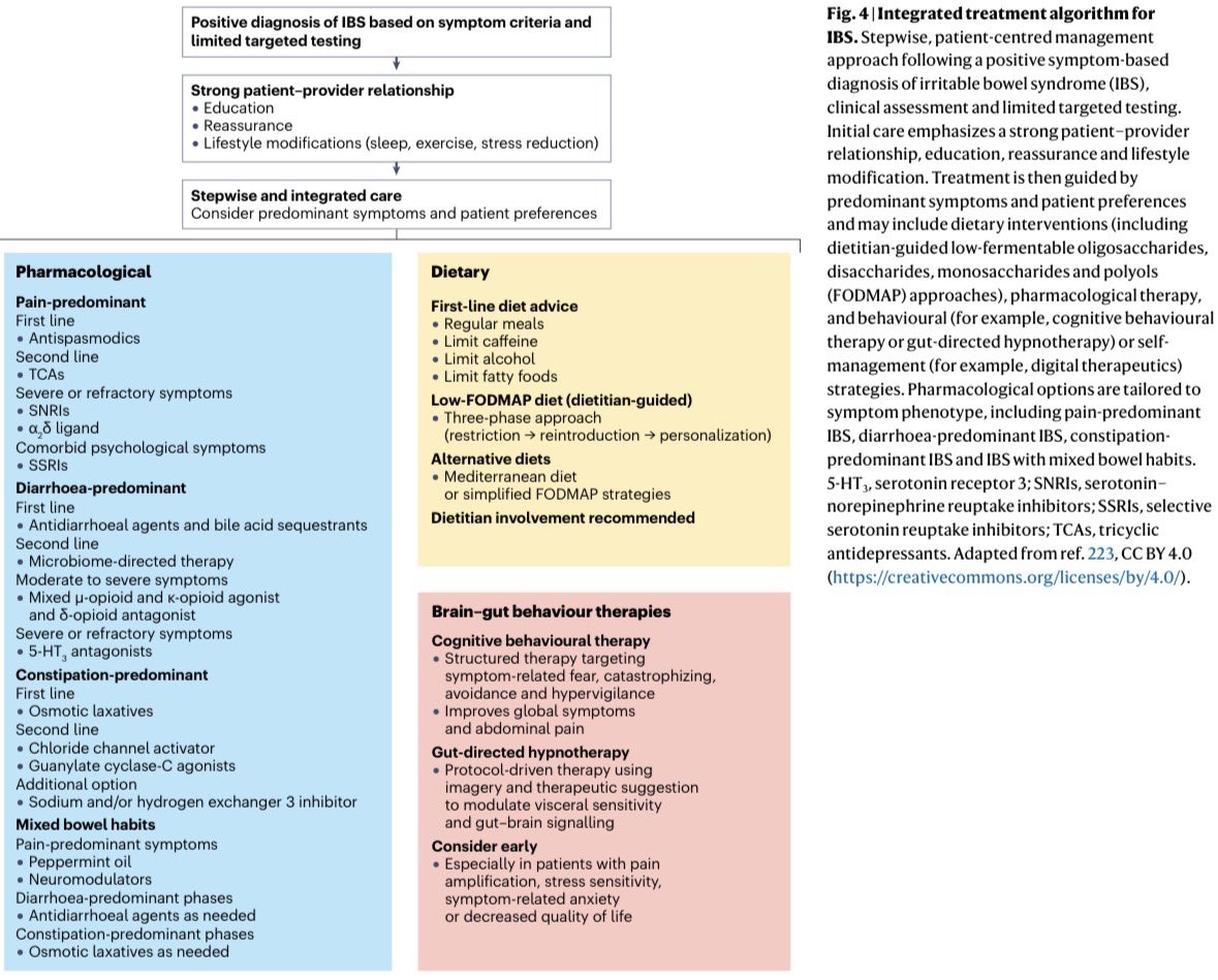 AmbrizMau's tweet photo. Algoritmo de tratamiento integral para el síndrome del intestino irritable:

@DiseasePrimers
Nat Rev Dis Primers 2026; DOI: https://t.co/htVMjKgepi https://t.co/uociC80dS4