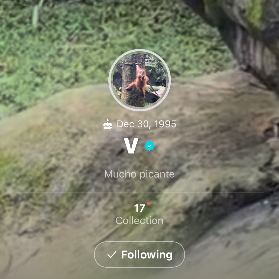 taetwinkle's tweet photo. i just saw tae’s weverse profile and his bio says “mucho picante” 😭

I vote for #ARIASBTS at the 2026 ARIA Music Awards. https://t.co/snTyN8C0lK