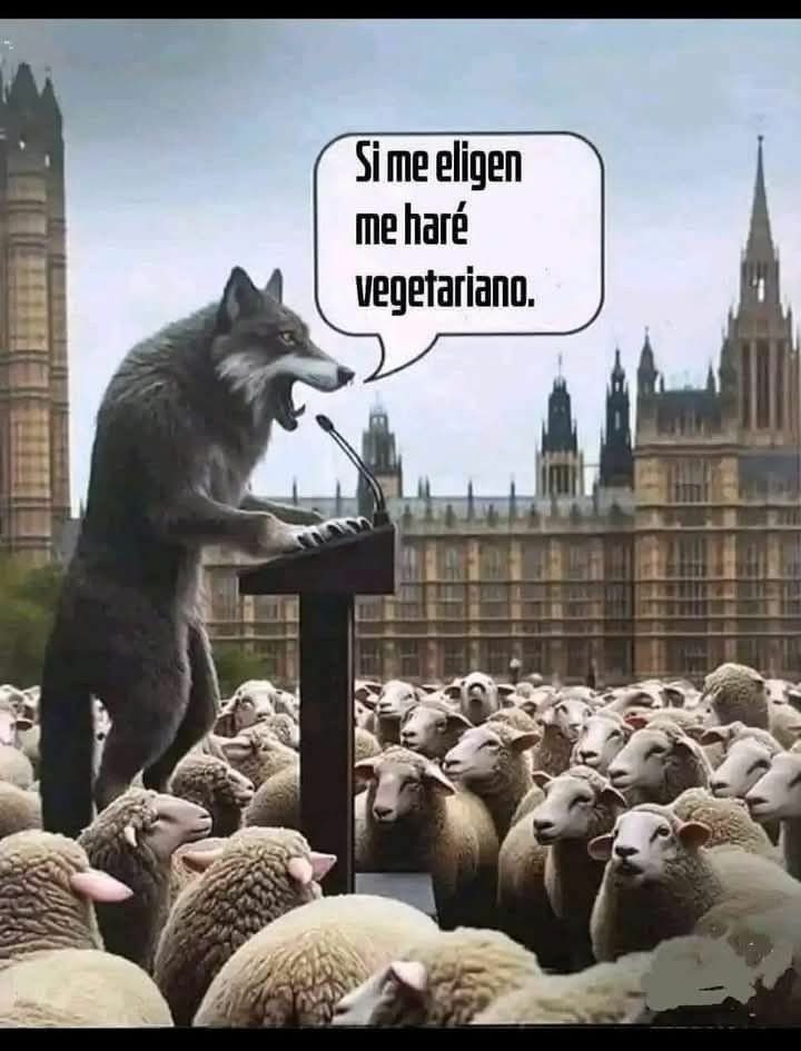 oscar_puente_'s tweet photo. https://t.co/zqDsjLCyZg