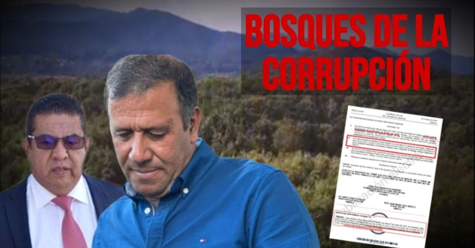 AmaneciendoMx's tweet photo. Vinculan a proceso a exalcalde de Omitlán por fraude inmobiliario
El exalcalde de Omitlán de Juárez, Jorge Martín Borbolla Calderón, fue vinculado a proceso por peculado agravado por la venta ilegal de un…
https://t.co/2nwZ5pFzbs
#vinculan #proceso #exalcalde https://t.co/mtKbI9N8zQ