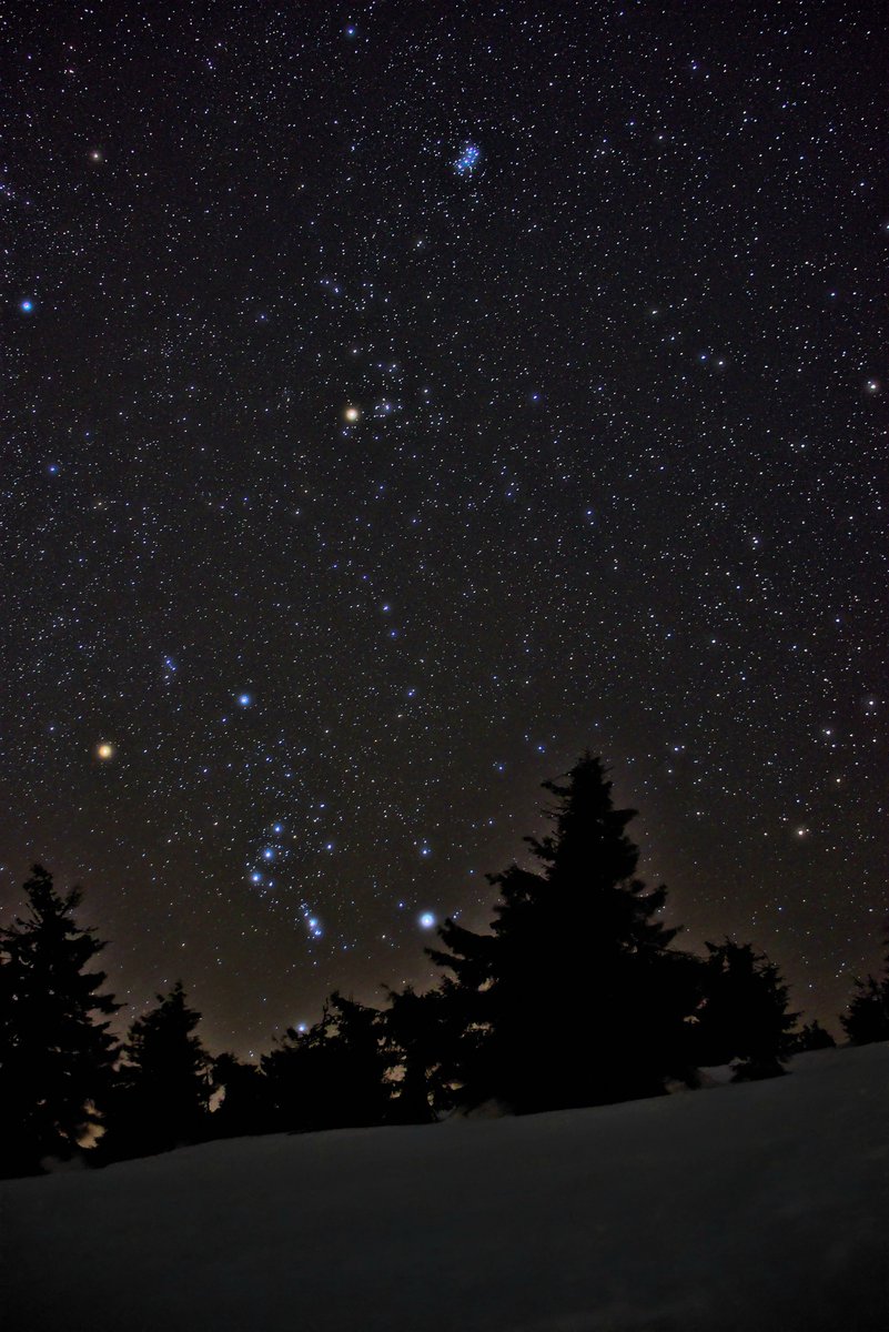 astrooalert's tweet photo. Beautiful Starry Night https://t.co/SyeyJznyQh