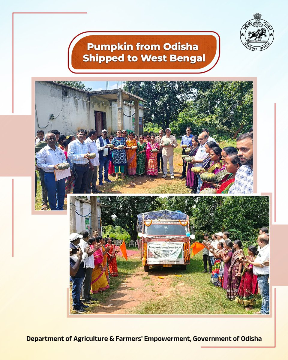 krushibibhag's tweet photo. As part of the APC Programme, the Commissioner-cum-Secretary, DA&FE, alongside the Collector-cum-District Magistrate, Keonjhar, and senior officials, visited Banspal Block on 4th October 2026 to review rural livelihood initiatives. During the visit, the delegation engaged with members of the Bhumika Producer Group and Banspal Farmer Producer Company (FPC), inspected grafted brinjal and pumpkin crop clusters, and flagged off an inter-state pumpkin shipment to West Bengal.

The Commissioner-cum-Secretary emphasised the imperative for robust supporting infrastructure, modern technology adoption, and post-harvest interventions to enhance farmers’ incomes. He commended the remarkable expansion of the crop cluster from 35 to 691 acres and lauded the commercial growth of Banspal FPC as a shining model of grassroots farmer collectivism.