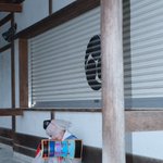 Photo by みやみよ (@3834rnb)