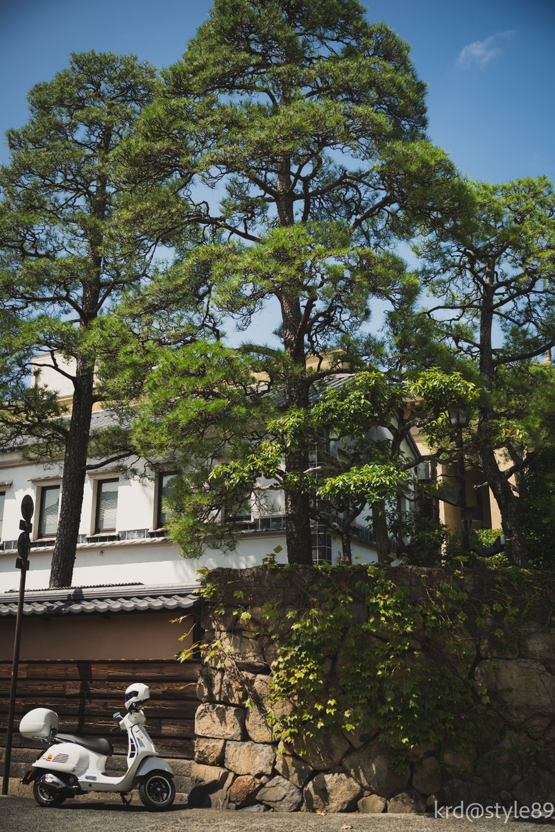 krd_style89's tweet photo. #photography
#スナップ
#NikonZf https://t.co/G2MIUbKq3V