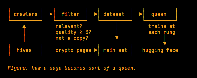 apiaryais's tweet photo. how a page becomes part of the queen:  

1. crawlers read the web 

2. every page goes through a filter: is it relevant, is it quality 

3 or above, is it a copy of something already kept? 3. pages that pass go into the dataset 

4. the dataset trains the queen at each rung of the ladder 

5. every trained version goes open source on hugging face