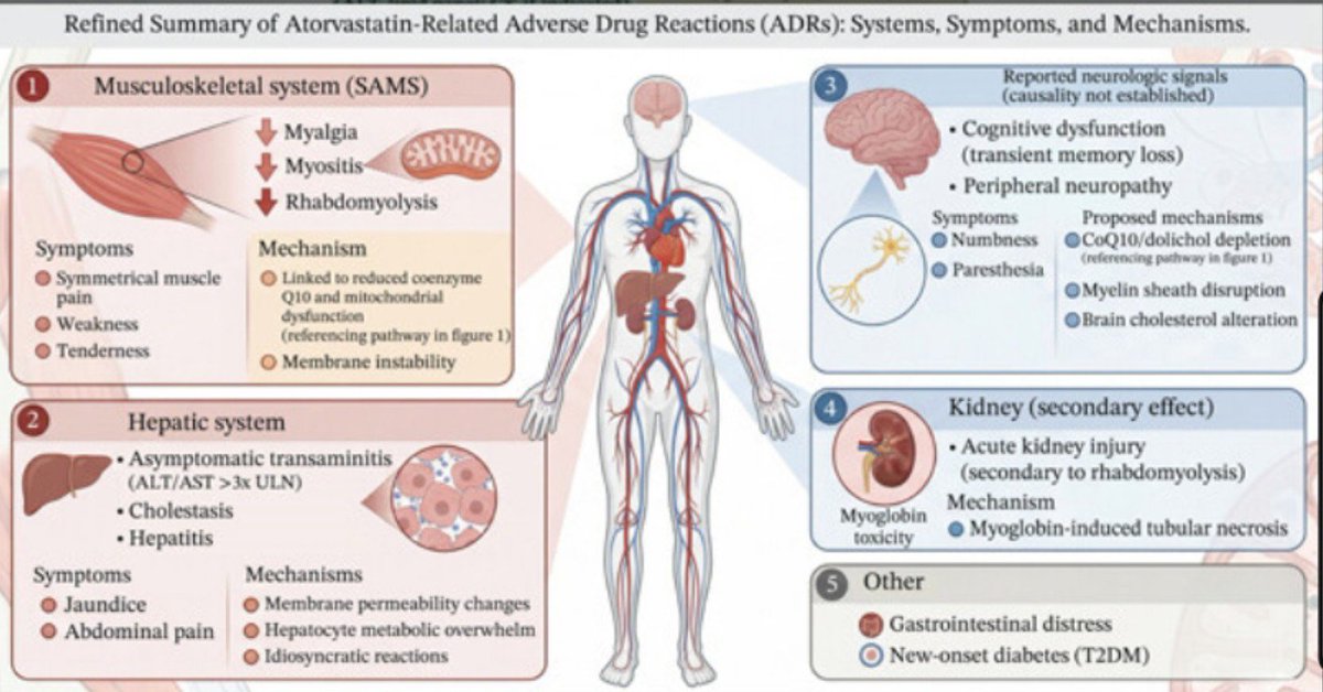 LipidoSeen's tweet photo. ✅Atorvastatina y su tolerabilidad

➡️Excelente revisión https://t.co/TGrmXD2hmn