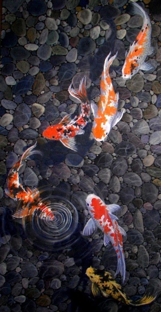 AquariumWa75539's tweet photo. 🌊 Stop scrolling… your phone deserves an underwater makeover 🐟💙
https://t.co/3fQkjVLBcG
#FYP #Underwater #AquariumLife #OceanVibes #LiveWallpaper #Fish #Reels #Viral https://t.co/tRXZ4s4L1x