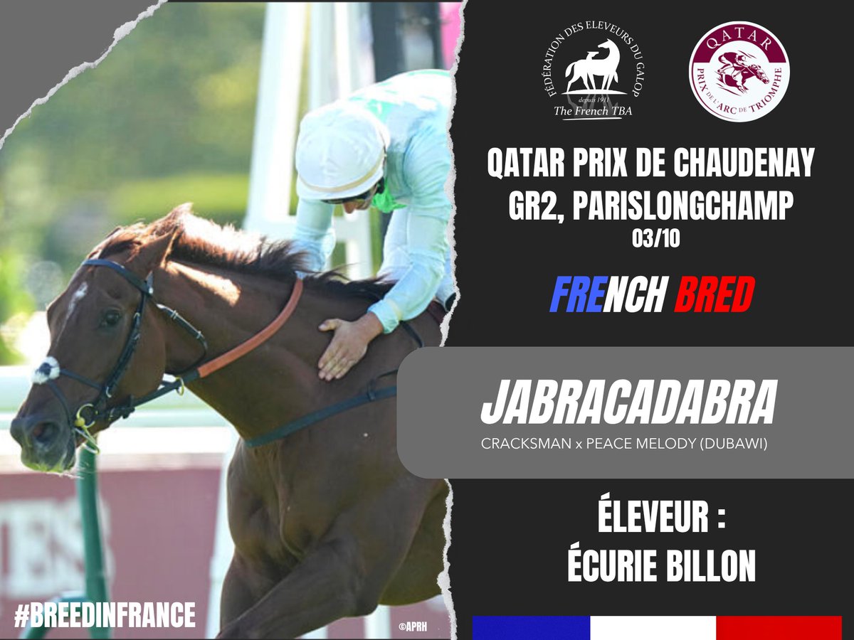Fedeeleveurs's tweet photo. ☀️ Toutes nos félicitations à l'Écurie Billon et JABRACADABRA, fils de #Cracksman, pour la victoire de ce dernier dans le Qatar Prix de Chaudenay, Groupe 2 sur l'hippodrome de @paris_longchamp (03/10) ! 🙌
#vivelelevagefrancais #BreedInFrance #RaceAndCare https://t.co/0Wrcpnaw8s