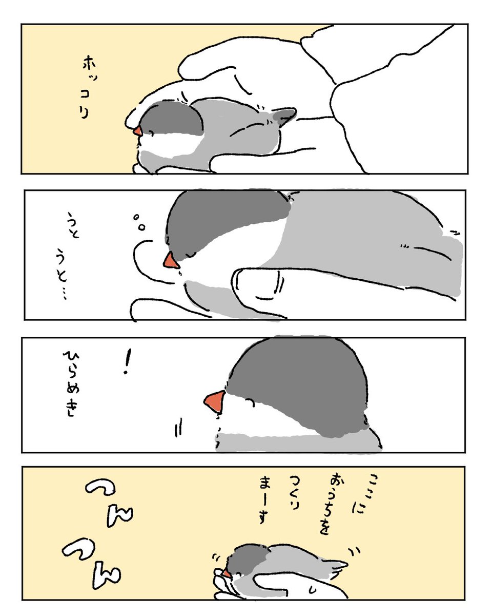 koguma_kanoko's tweet photo. 文鳥さん、巣作り遊びが大好き。 https://t.co/f5m2K3xiHO