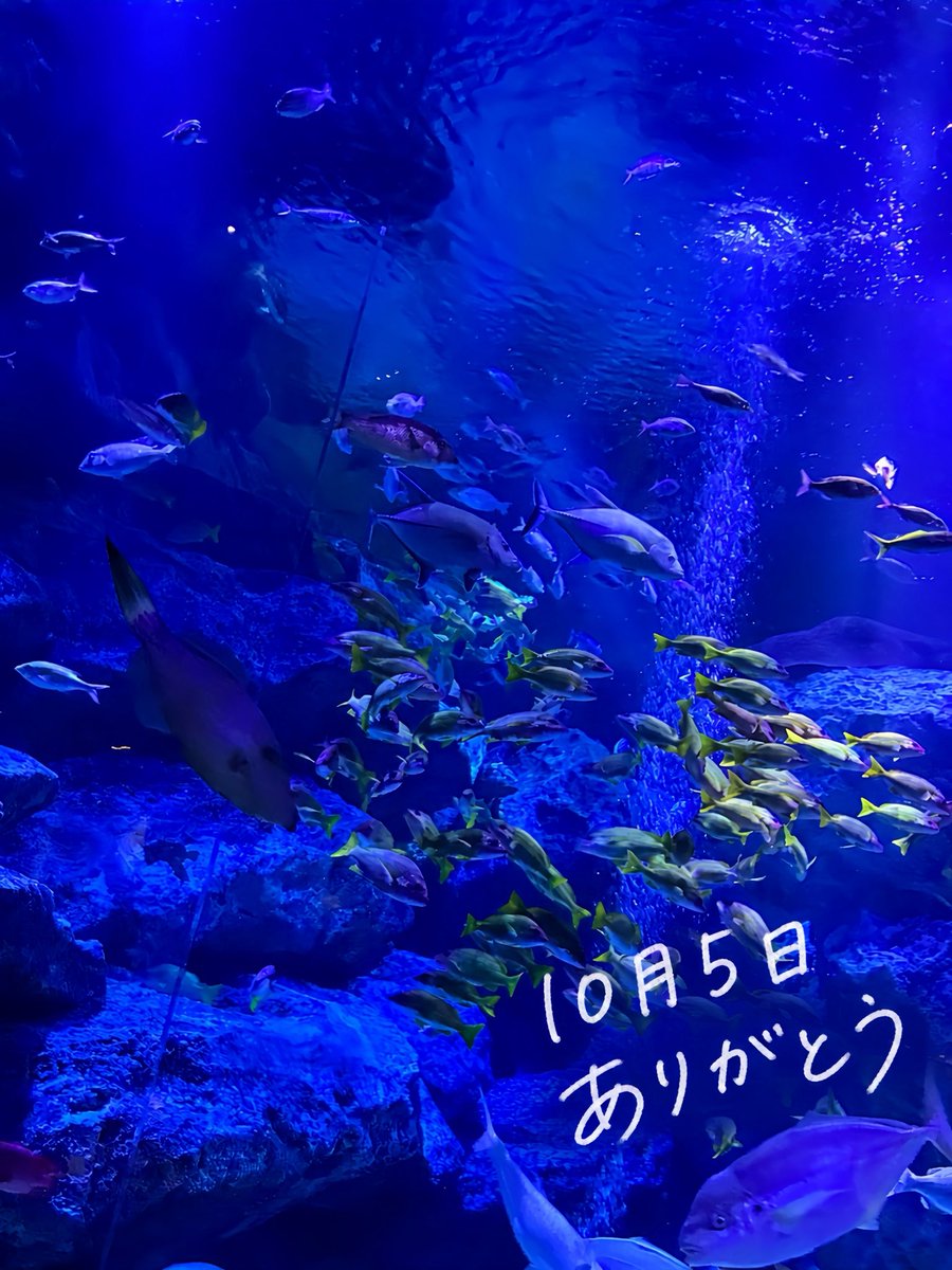 sharekn_asahi's tweet photo. 今日はありがとう！
また会えて嬉しかった！好きなものを見てる時の反応も、説明をじっくり読んでるところもかわいかったな。ぎゅって腕掴んでくれたのも密かに胸キュンしてた笑
方向音痴発揮しちゃってごめん😂 次の約束もありがとう。またもっといろいろ知れるの楽しみにしてるね。 https://t.co/hV103Zeg2d