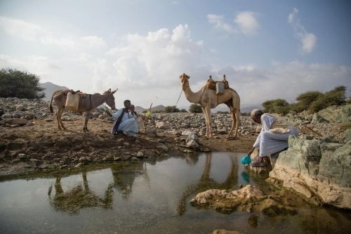 UN_Water's tweet photo. 💧 Rivers across the globe in 2025 had one of their driest years in more than three decades.
The new @WMO #StateOfWater report also shows continued declines in freshwater storage and glacier retreat.
🔗 https://t.co/RN3UPf8nim
#COP #SDG6 #WaterAction = #ClimateAction https://t.co/zFQm7jIiM7