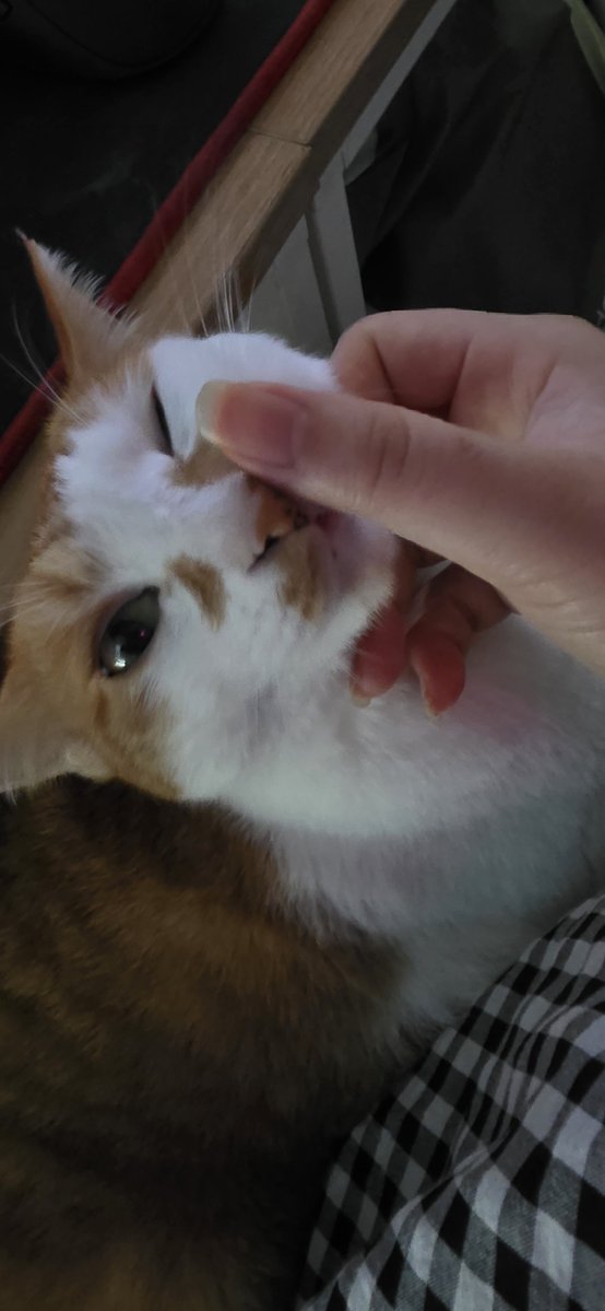 RUPART8's tweet photo. 집가면 너에게 할거야 kiss https://t.co/vatJx0wVeA