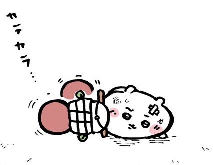 ddololdd's tweet photo. 자전거 넘어져서 찌그러진 햄이 너무 안쓰럽고 귀여워..... https://t.co/5Np2vJdc9y