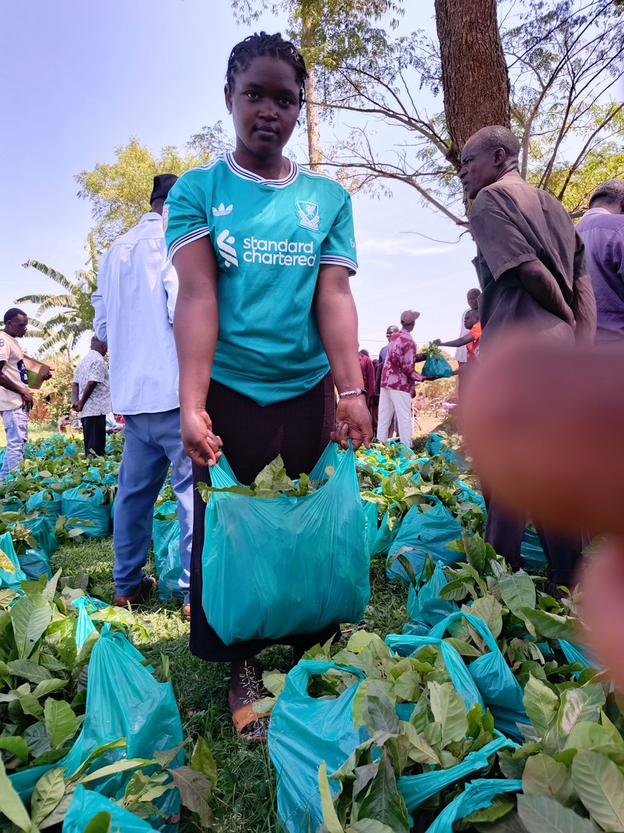 Youthinuganda's tweet photo. Rooted in Hope, Growing in Peace 🌱🧠
​As young people, we are taking charge of our mental well-being by reconnecting with the earth. Nurturing a seedling is a gentle reminder that growth takes time, care, and patience—just like healing.
#MentalHealthAwareness #GreenHealing https://t.co/qVslq8SQXC