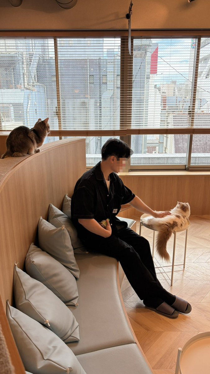 ihih2301's tweet photo. 猫カフェに行ってきました！🐈

#友達募集 #友達募集中 #日本人と繋がりたい #日本人の友達が欲しい #日韓交流 #韓国人と繋がりたい #東京 https://t.co/9P6jU0iVuz