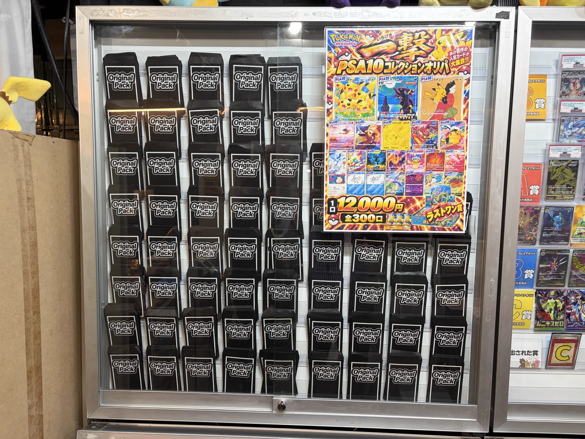 ⭐️バイオサポートほぼ半額　ゆうパケットプラスいっぱい（17小箱） カードショップアシスト 横浜駅前店｜日本一オリパが楽しめるお店を