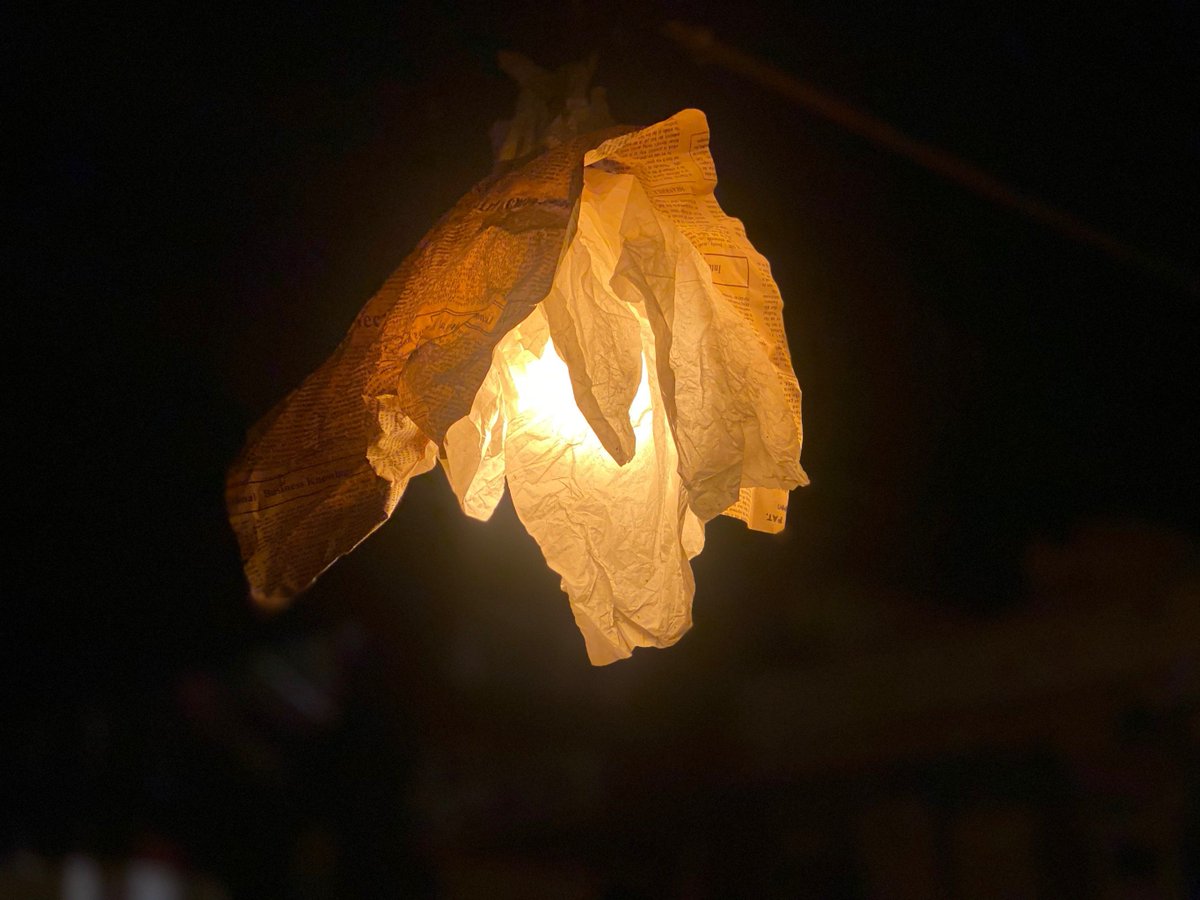 EverlyBoychscs's tweet photo. En la oscuridad, la lámpara brilla con un brillo cálido, y el orondo insecto se acerca lentamente, lleno de envidia por la luz. https://t.co/UU66AEEA3G