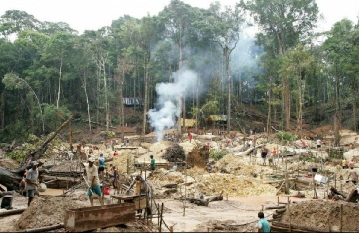 thexpeditionary's tweet photo. Así se ve el Amazonas en manos de los socialistas.

Pero de eso ni una palabra. https://t.co/Chieus6nqs
