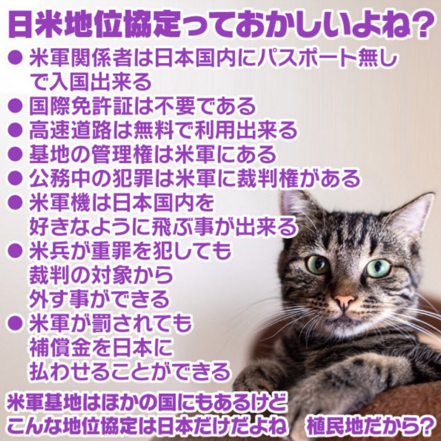 ym72792135's tweet photo. @issuikai_jp まるで植民地のような
異常で不平等な日米地域協定。
繰り返される米兵の犯罪。
奴隷根性染みついたアメリカの犬、
外国人犯罪にウルサイ連中、
エセ保守ダンマリ。 https://t.co/XQajsplev3