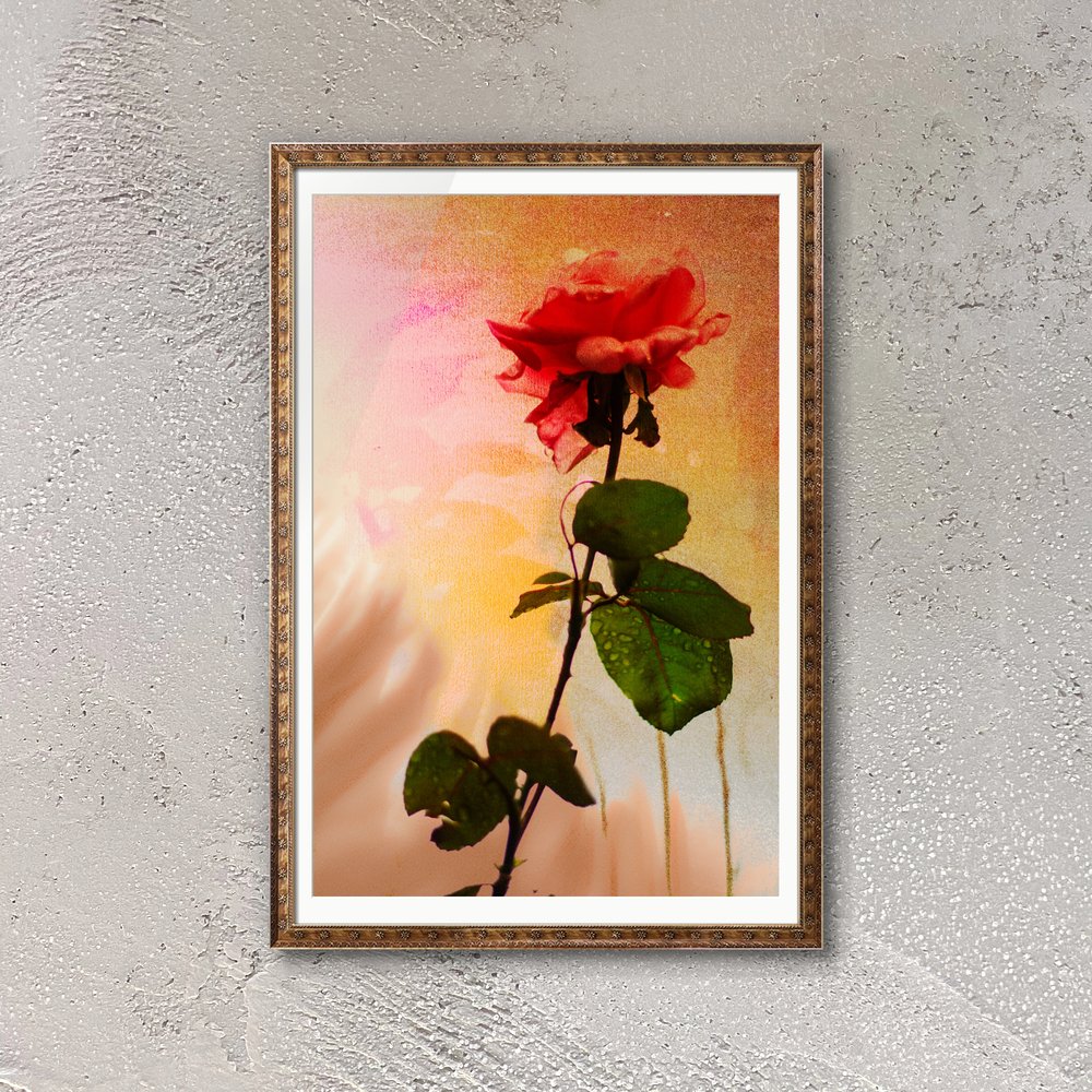 hirobeehirobee's tweet photo. ©universedot

#アート作品
#デジタルアート
#薔薇アート
#花のアート
#アート好きな人と繋がりたい
#クリエイティブのある生活
#色彩アート
#アートワーク
#ビジュアルアート
#現代アート
#アート表現
#roseart
#flowerart
#digitalart
#contemporaryart
#visualart
#artwork
#creative https://t.co/01HTbAlTqa