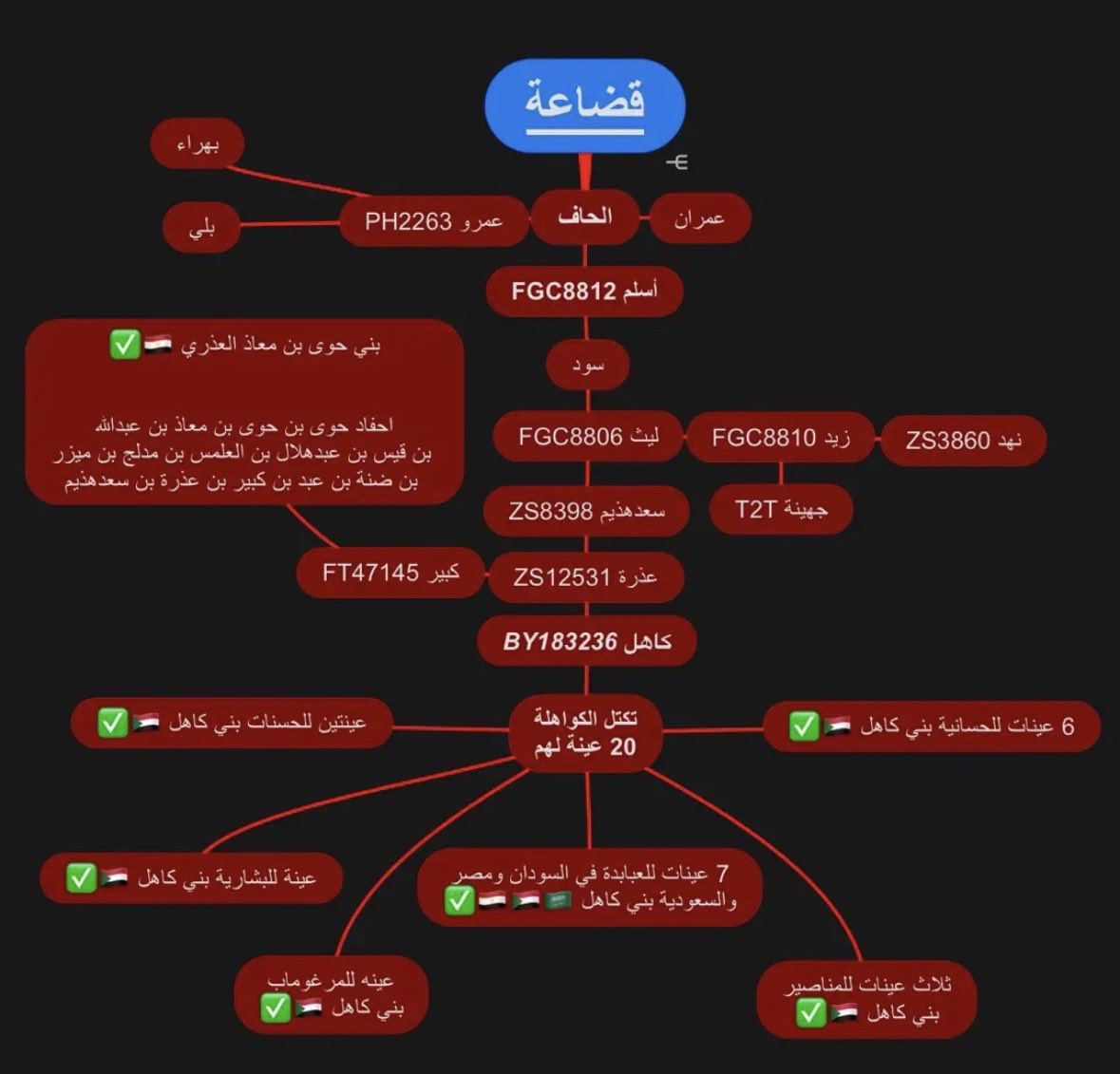Blia__818's tweet photo. بني كاهل-بني عذره السودان🇸🇩
#بني_كاهل 
#بني_عذره
#J1_L222 https://t.co/NvcEHBMO1p