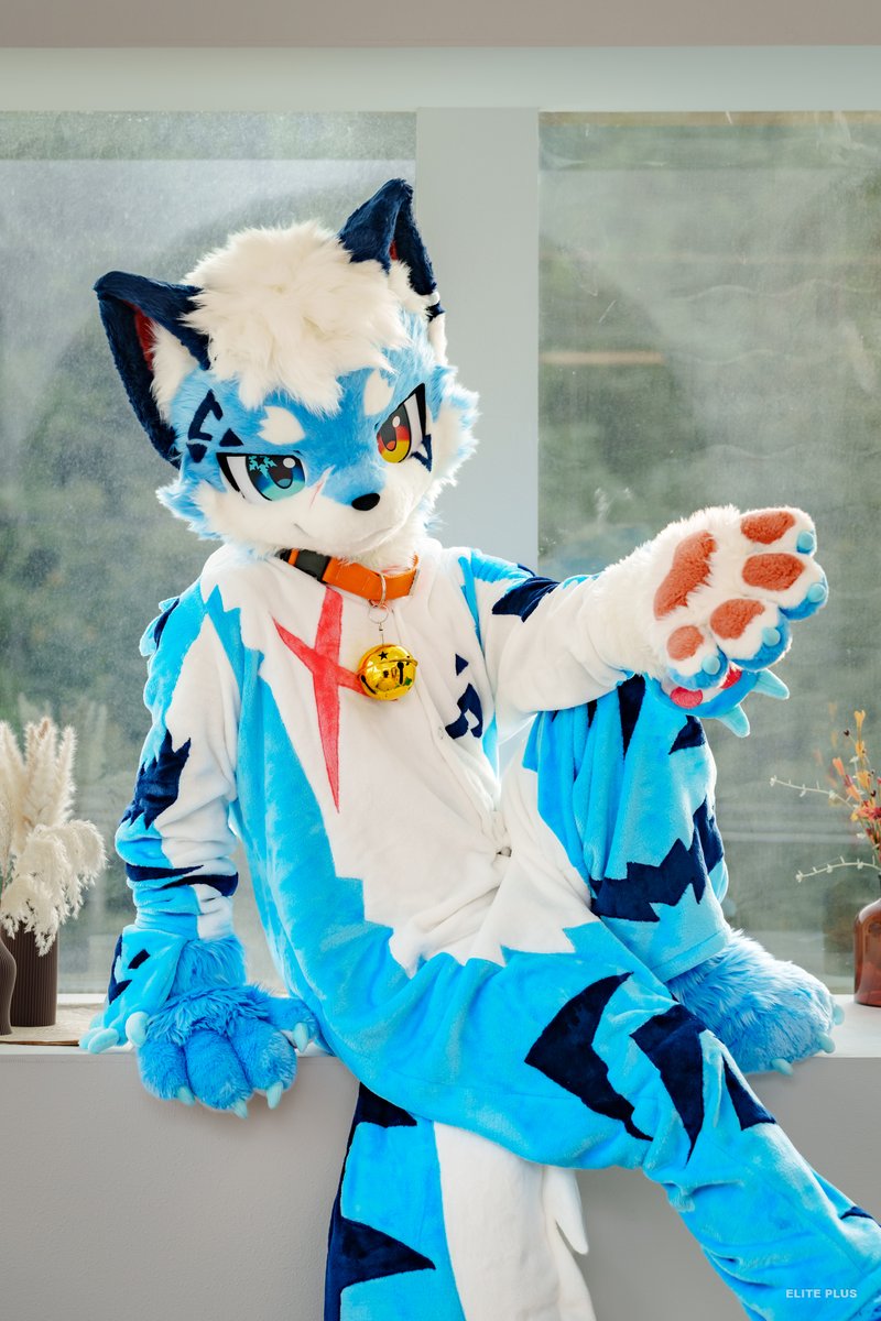 simo22722's tweet photo. #furmony 
#FursuitsEveryday https://t.co/LXX7QAgnhQ